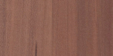 M4894 Slivka hnedá